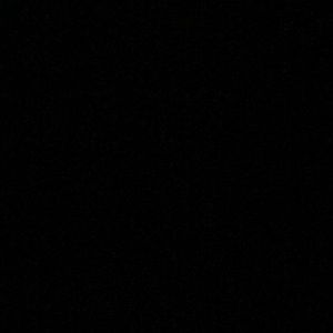 Meet your Posher, Donald